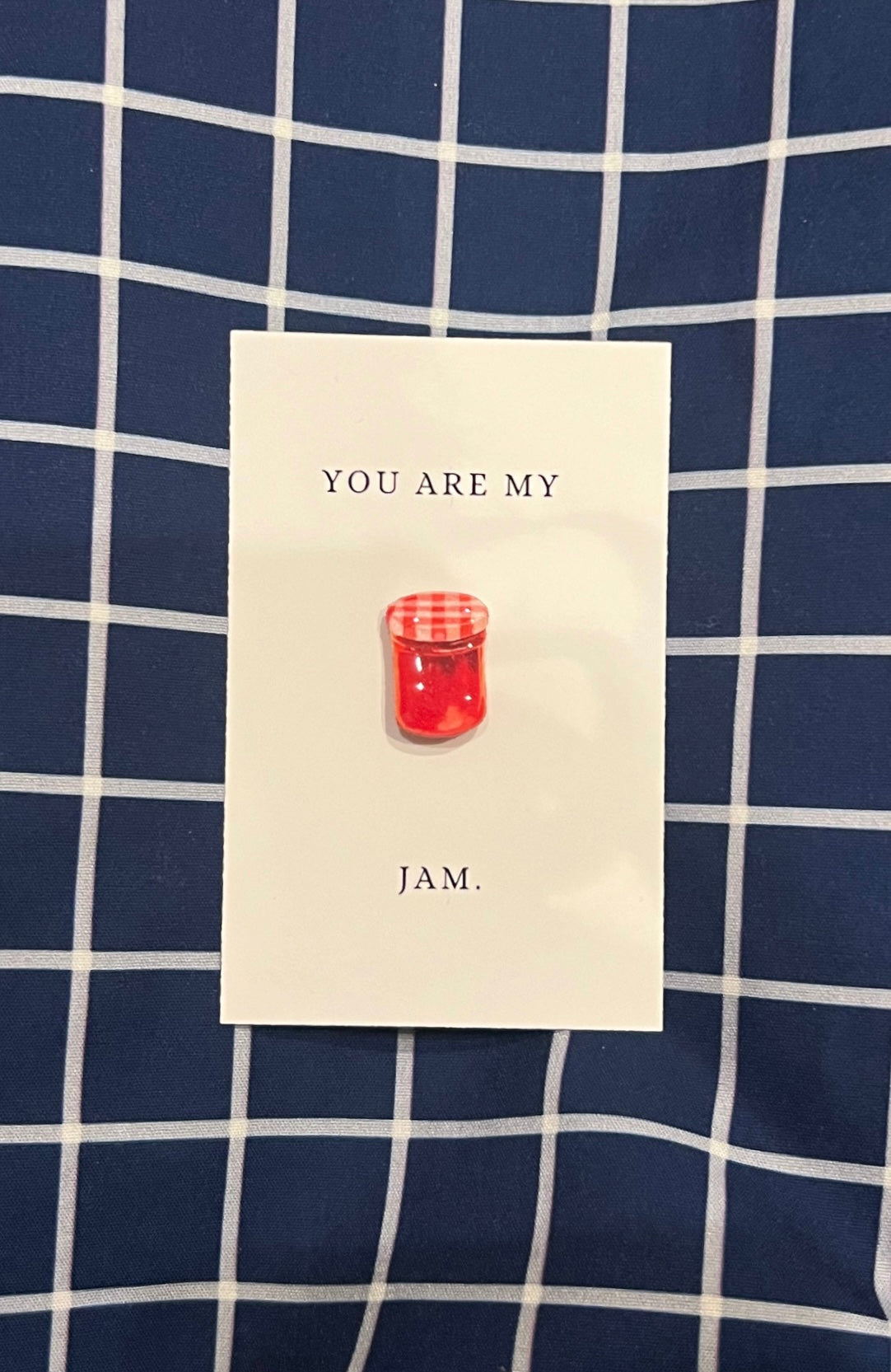 You Are My Jam Brooch Pin