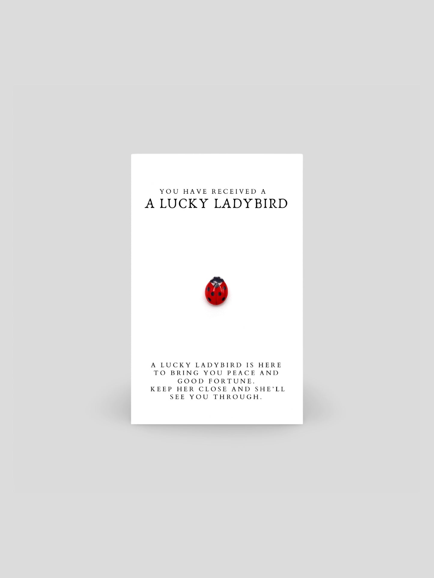 Lucky Ladybird Brooch Pin