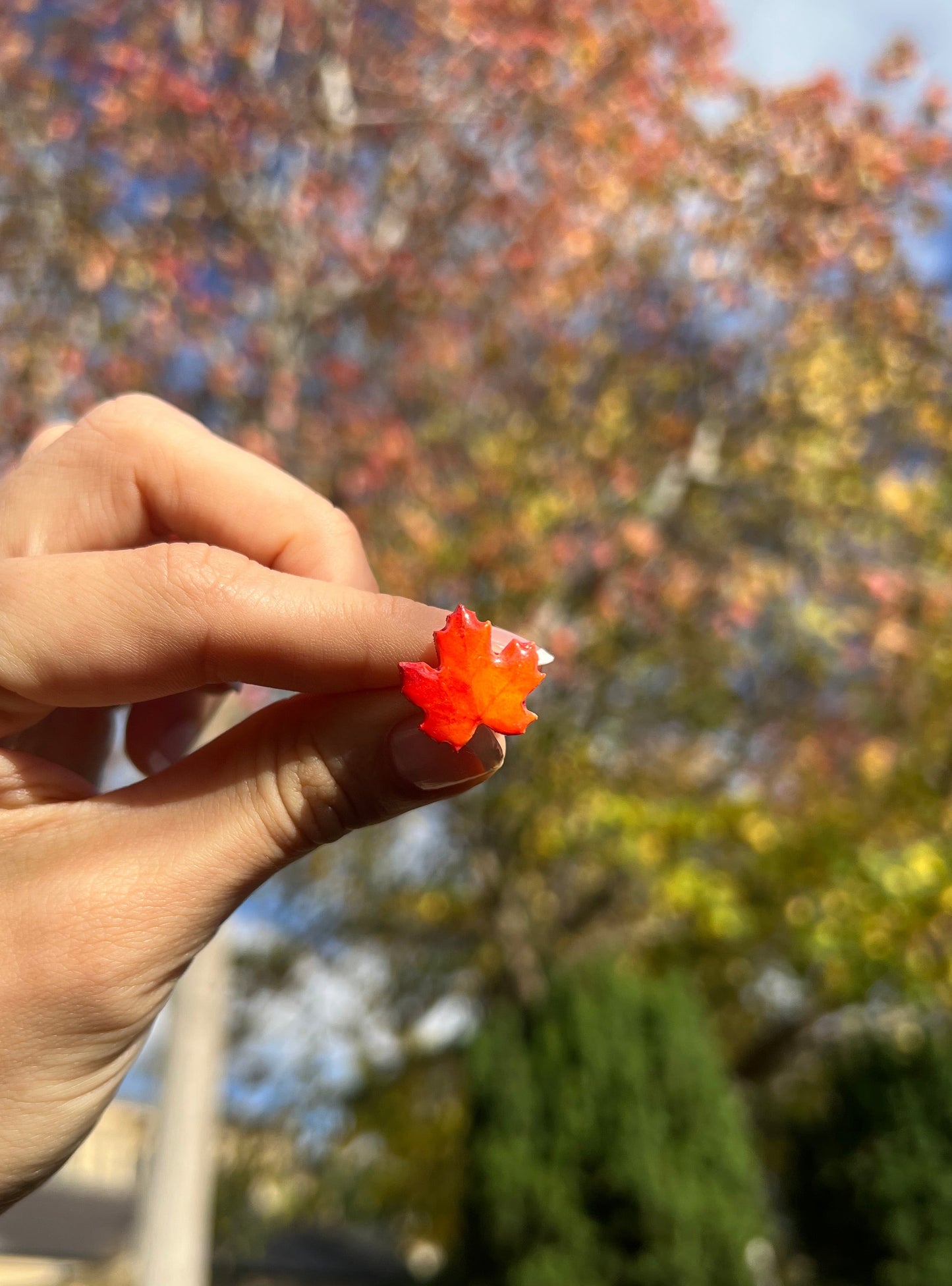 I Be-Leaf In You Brooch Pin