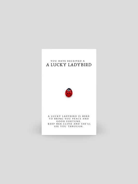 Lucky Ladybird Brooch Pin