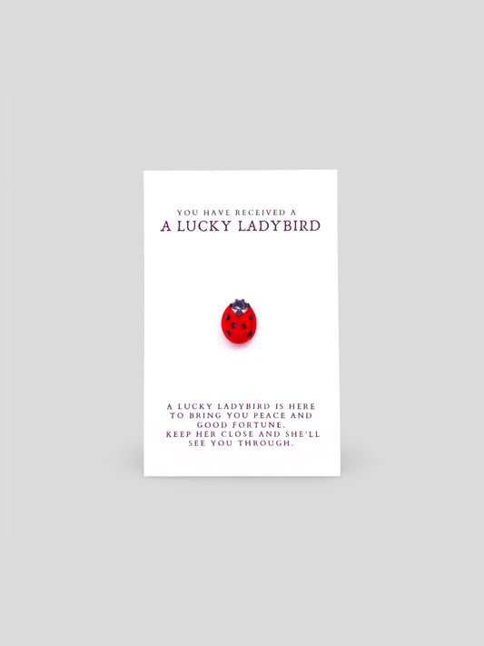 Lucky Ladybird Brooch Pin