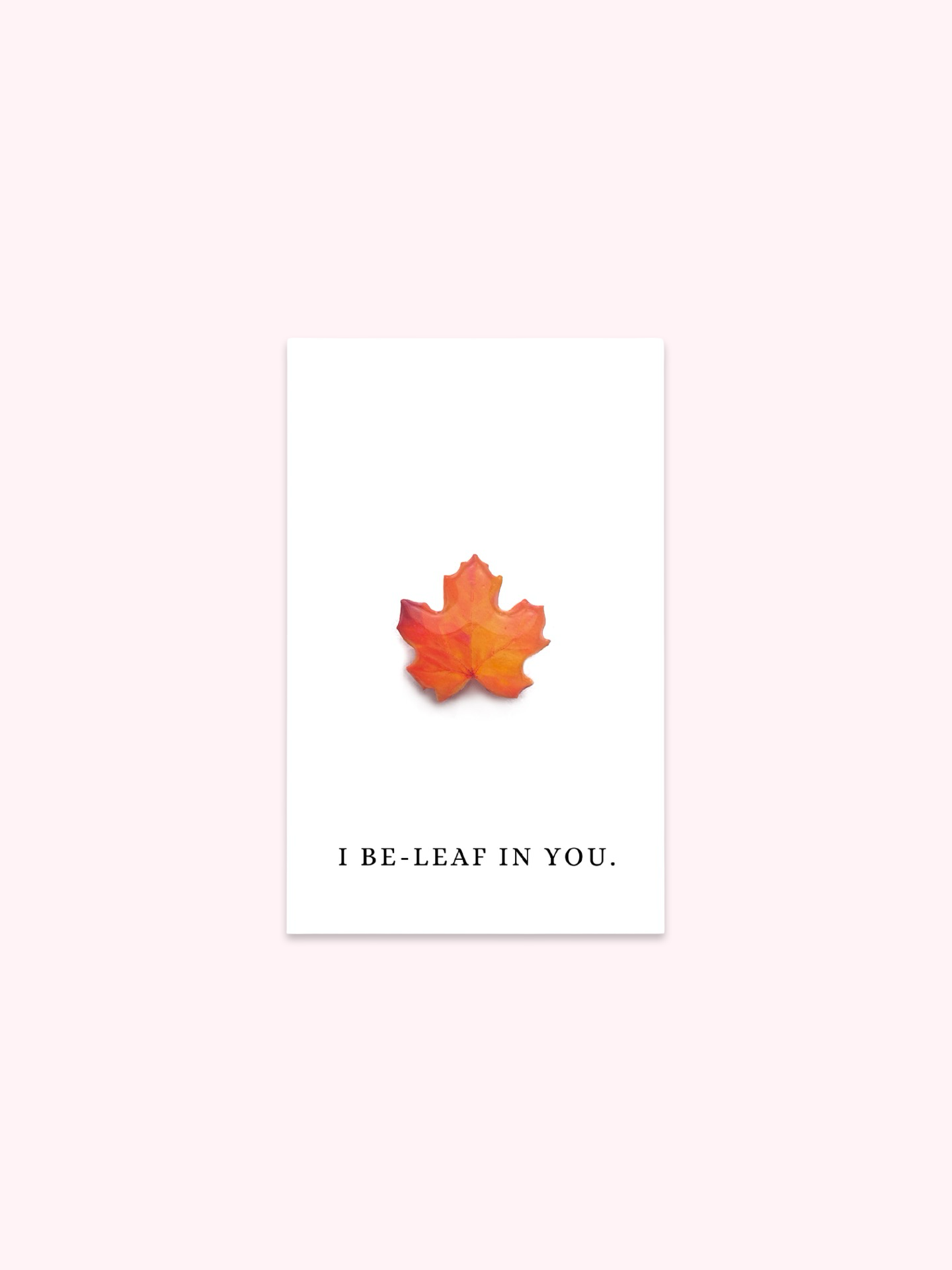 I Be-Leaf In You Brooch Pin