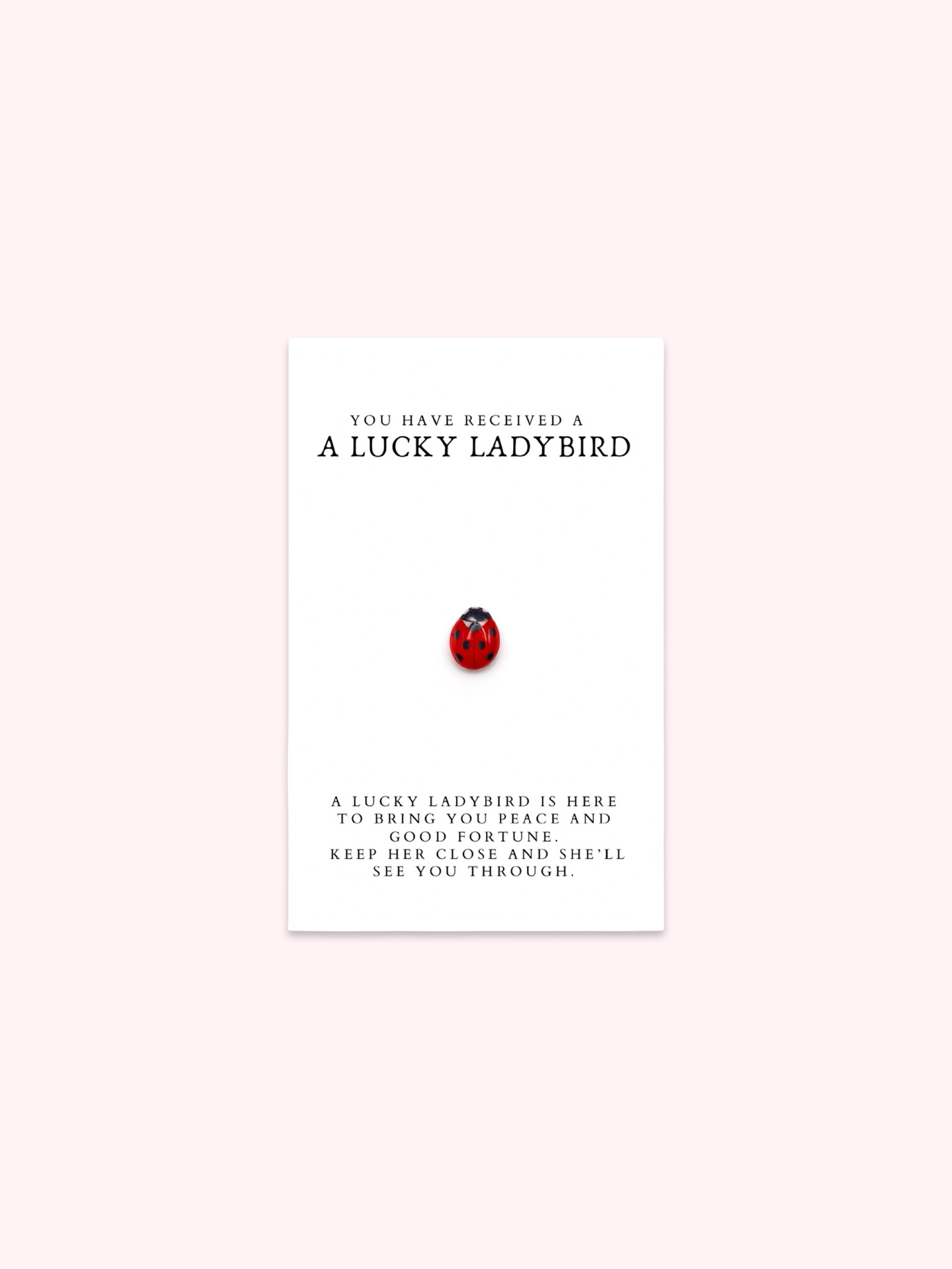 Lucky Ladybird Brooch Pin