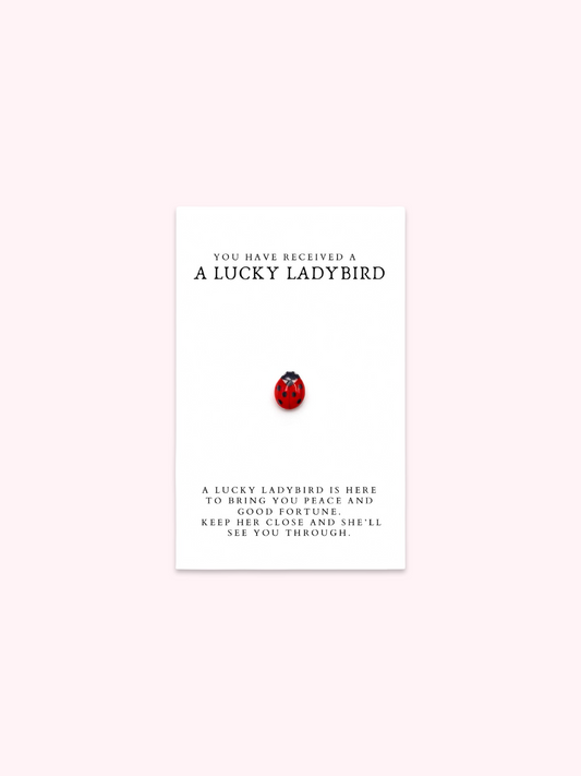 Lucky Ladybird Brooch Pin
